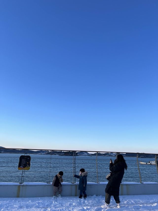 🏔️ 전남 목포 가볼만한곳 뷰 좋은 까페 추천 “북항”