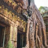 Angkor wat 