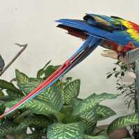 Bird Park in Kuala Lumpur