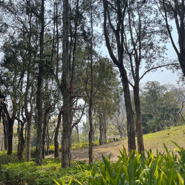 青衣休憩公園🫶🏻草地池塘😍散步🚶🏻‍♀️好去處