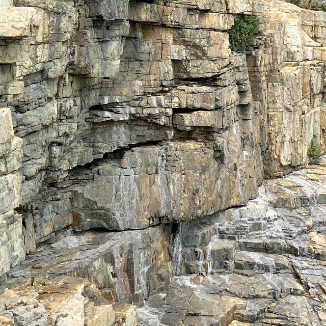 手腳並用,尋找連島沙洲及無敵海景燈塔 手腳並用,尋找連島沙洲及無敵海景燈塔