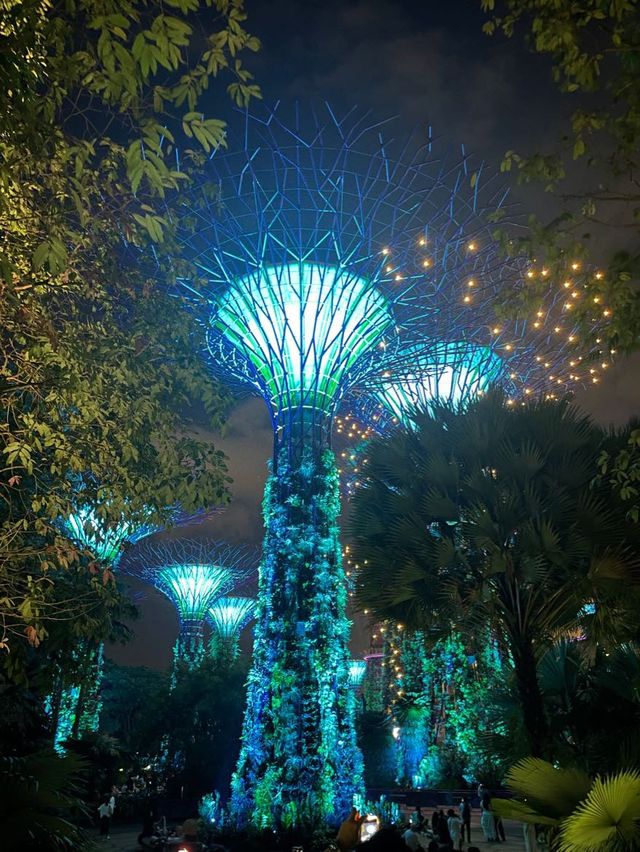 新加坡 | 必去睇夜景gardens by the bay