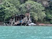 Pink Dolphins at Khanom, Nakhon Si Thammarat 