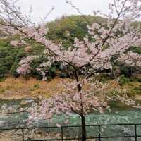 Sagano romantic train