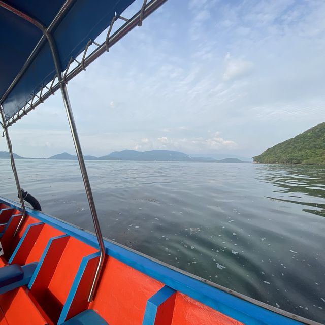 丹島浮潛之旅🤿