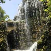 แดนเทวดาคาเฟ่