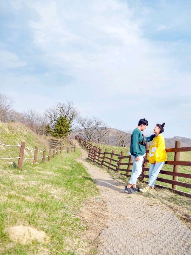 바람이 어마무시! 평창 대관령 삼양목장🐏