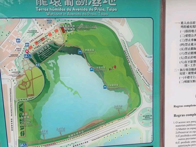 一望無際的“”龍環葡韻濕地” 澳門免費景點 