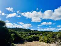 Blue Blue Sky Green Green Grass💙🤭