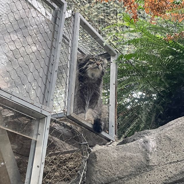 関西でおすすめの体験型動物園🐇🐅🐈🐕🦆