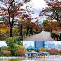 Fun Swan Paddleboats at Shinobazu Pond