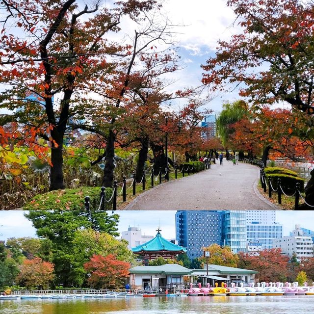 Fun Swan Paddleboats at Shinobazu Pond