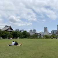一年四季都有唔同花睇嘅芝公園