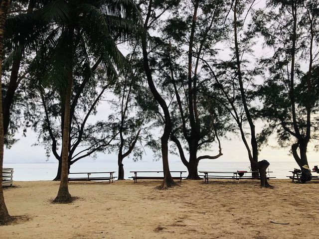 🇲🇾馬來西亞沙巴☀️❤️‍🔥Tunku Abdul Rahman Marine Park (東姑阿都拉曼國家公園)