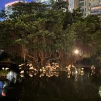 食飽飯散散步，夜遊九龍公園