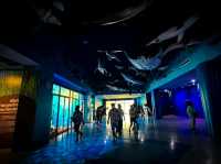 Bangsaen Aquarium 