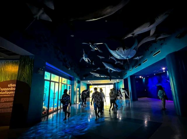 Bangsaen Aquarium 