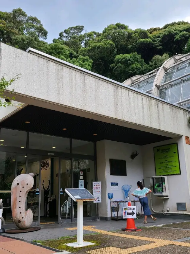 【大阪】中学生まで無料の昆虫館