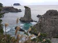 The lonely rock by the beach, Oedolgae