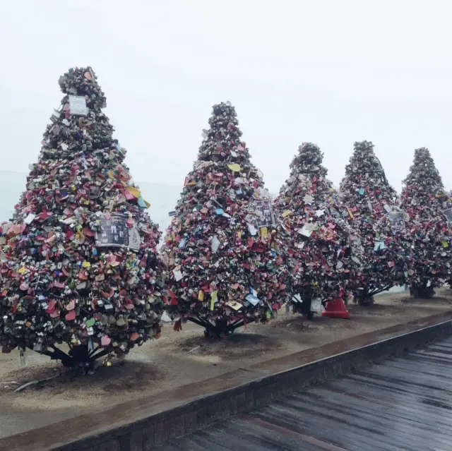 Amazing N Seoul Tower