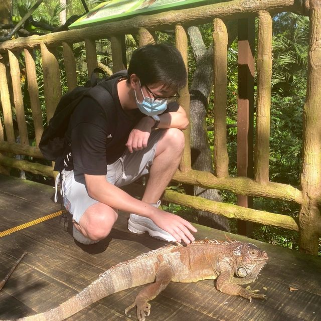 The Singapore Zoo Is An Animal Friendly Zoo