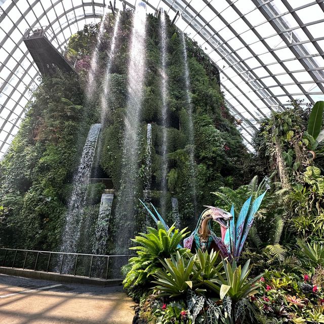 Cloud Forest