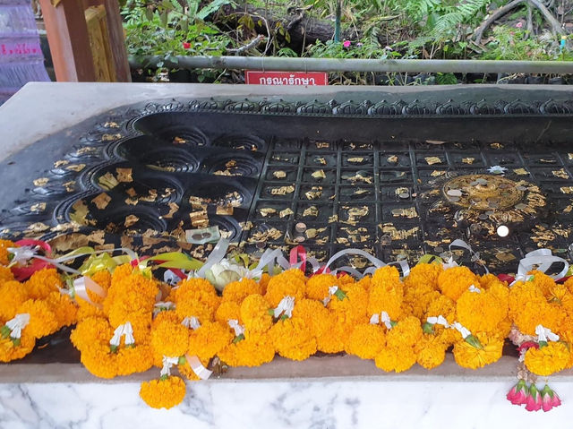 วัดป่าภูทับเบิก จ.เพชรบูรณ์