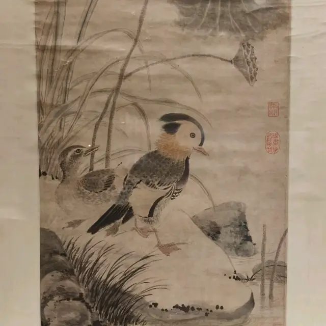 台北故宮-山水、花鳥畫展🌿|筆歌墨舞（上，秋景篇）|（精細動物古畫作）