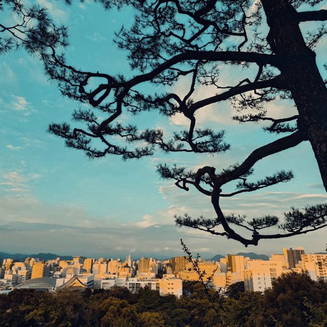 穿越時光！高知城感受歷史與浪漫！🏯🌸🌳