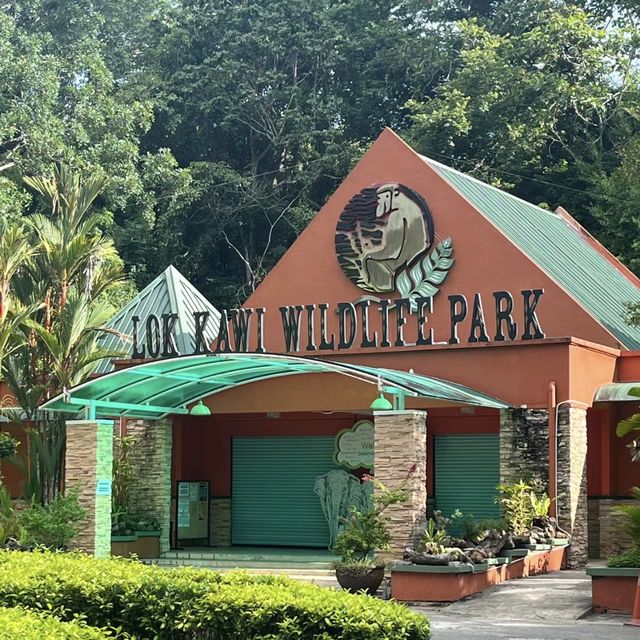 狂野探險！揭秘洛卡宜野生動物園的動物奇遇🦁🌿🐒