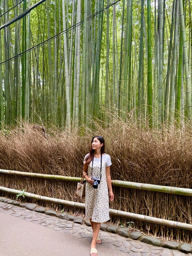 京都 | 必去打卡近郊竹林嵐山🎋
