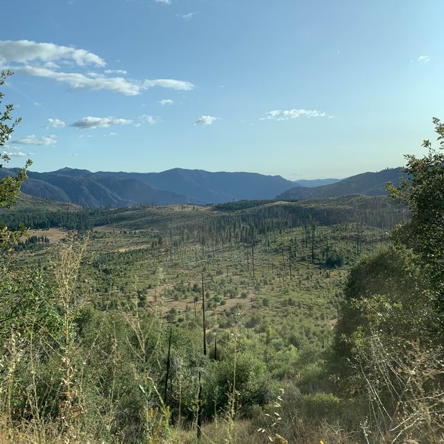 Yosemite Nature Park