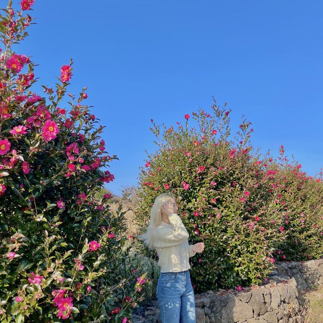 카멜리아힐에선 다양한 포즈를 마음껏 즐겨보세요🌺
