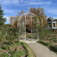 名古屋日洋融合 鶴舞公園