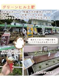 【静岡】西伊豆観光スポット4選