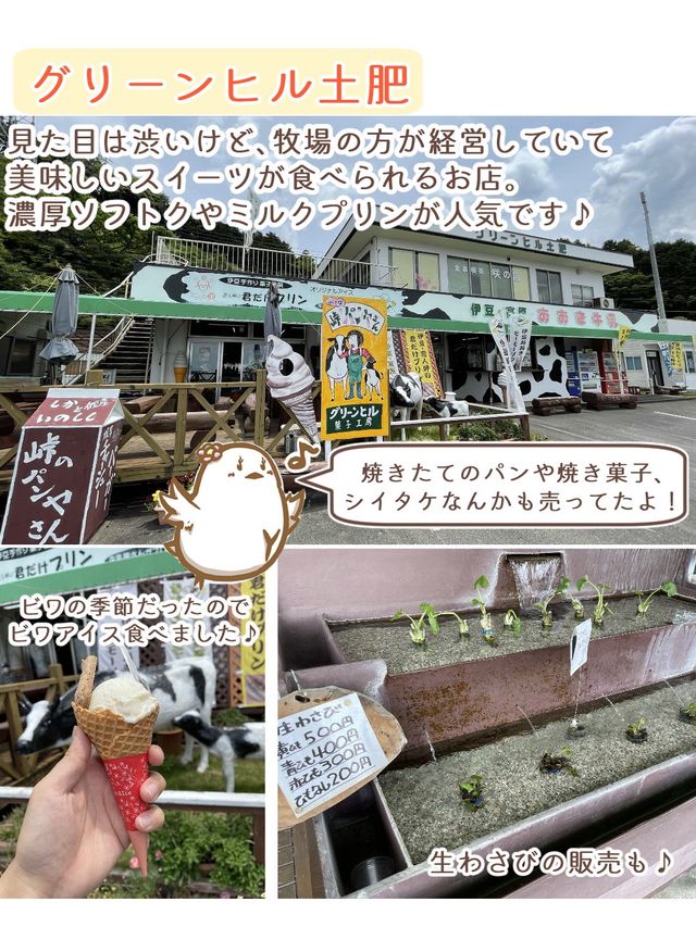 【静岡】西伊豆観光スポット4選