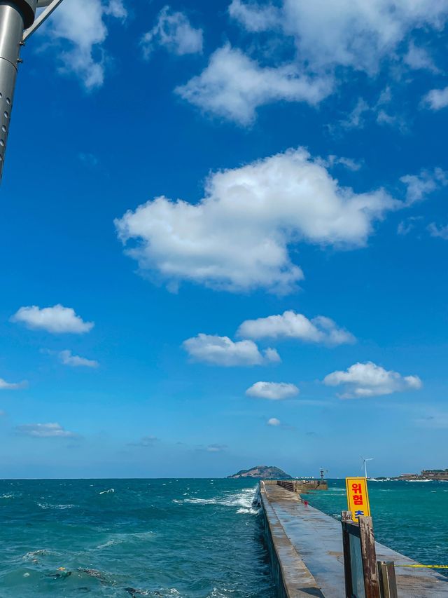 신창풍차해안도로를 달리다 잠시 차에 내려서 볼 수 있는 풍경 ‘판포포구’ 🌊 