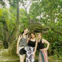 Monkey forest Ubud, Bali 🙈 
