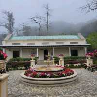 山頂公園 - 夢幻的英式花園