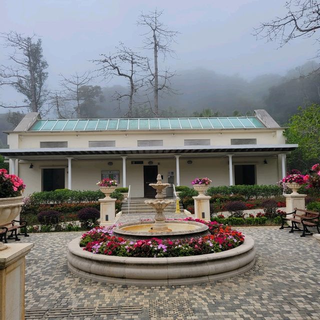山頂公園 - 夢幻的英式花園