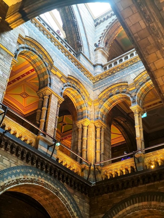London's Museum of Natural History 