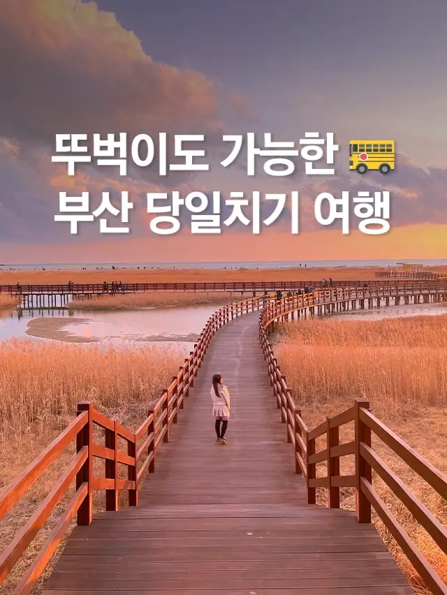 뚜벅이도 가능한 부산 당일치기 코스 추천!🌊