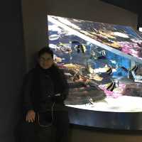 largest aquarium in Asia - Aqua Planet jeju
