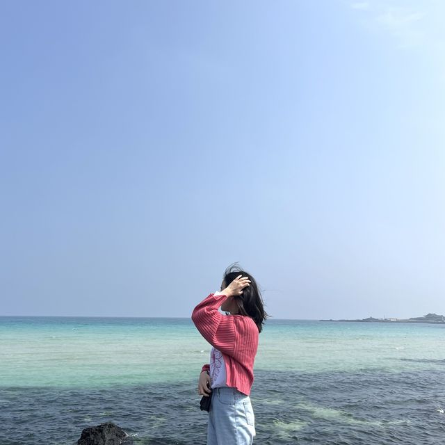 제주 세화해변🌊✨