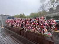 必去的N Seoul Tower