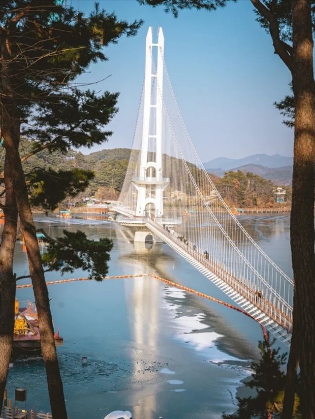 예산군 대표 관광지 "예당호 출렁다리"