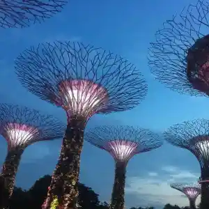 My Visit to the Gardens by the Bay 