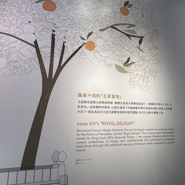📍沙田文化博物館《虛擬凡爾賽宫之旅》