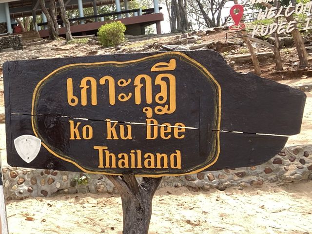 ดำน้ำดูปลานีโม่ @เกาะเสม็ด ระยอง 🐠