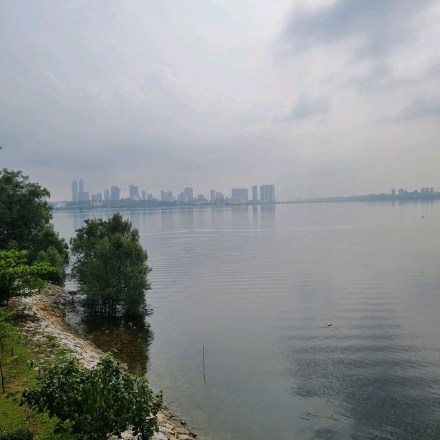 Sungei Buloh Wetlands Hike